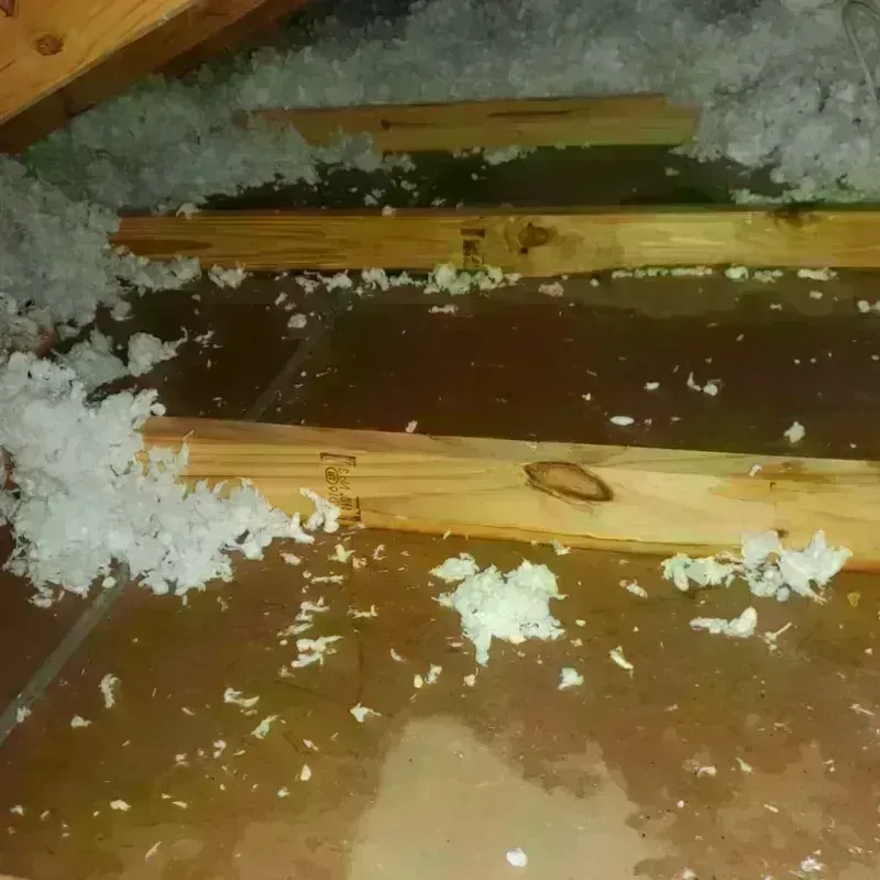 Attic Water Damage in Lake County, MT