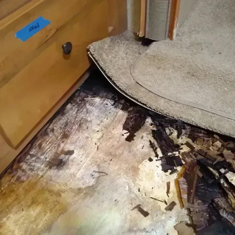 Wood Floor Water Damage in Lake County, MT